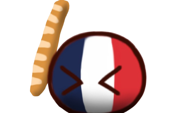 法国球